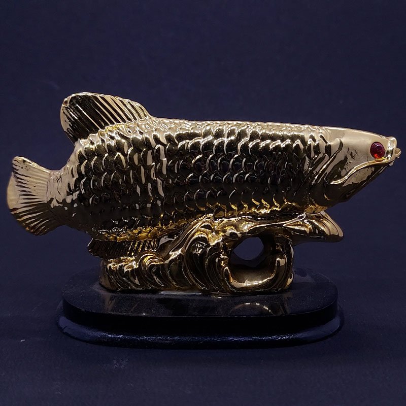ARAVANA FISH