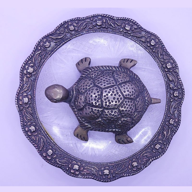 GLASS PLATE TORTOISE