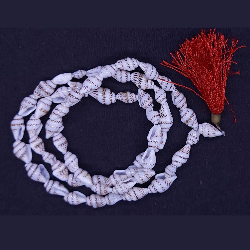 ENERGISED SHANKH MALAI