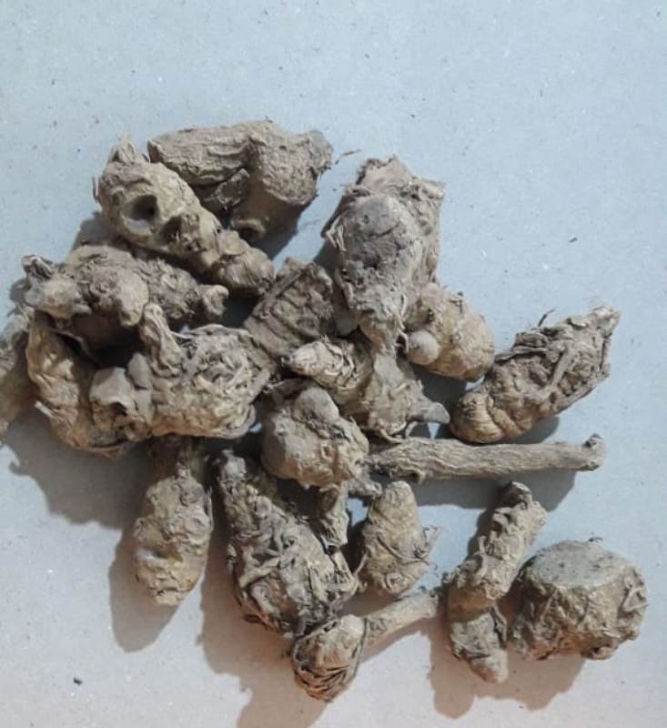 KARUMANJAL - BLACK TURMERIC