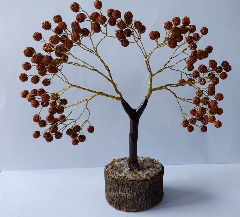RUDRAKSHAM TREE