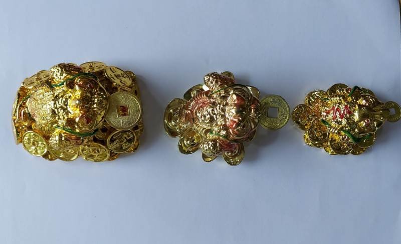 ENERGIZED LUCKY FROG